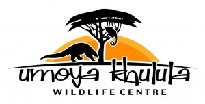umoya logo umoya logo